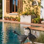 Guest house Quinta Pedras Belas