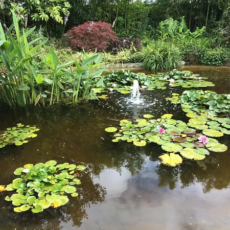 Quinta Pedras Pensionat Belas