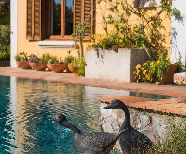 ゲストハウス Quinta Pedras Belas