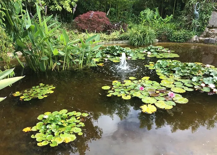 Quinta Pedras ゲストハウス Belas